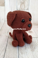 Ami Maker - Adrielle Alves - Canino  - Portuguese