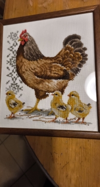 Chicken with chicks