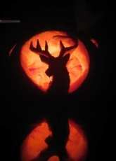 My pumpkins!