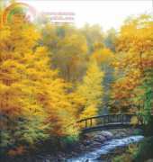 Shinysun - Autumn Stream