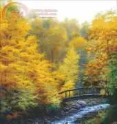 Shinysun - Autumn Stream