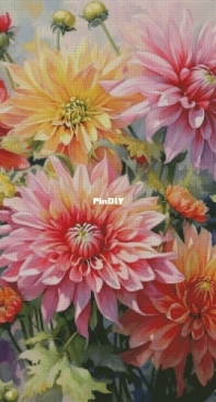 Chimera - Bright Dahlias