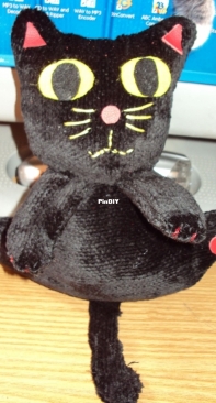 Black cat 