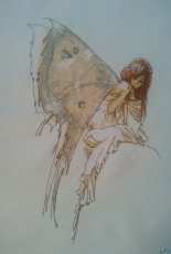 Fairy