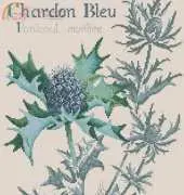 DFEA 20 Etude au chardon