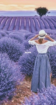 Lavender by Elena Petrova