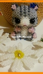 cat in daisies