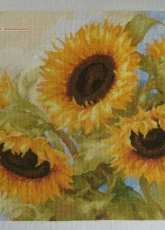 Alisa. Sunny dreams