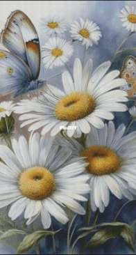 The Cheshire Cats Designs - Daisies 2 XSD