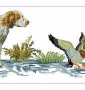 Bird Hunter