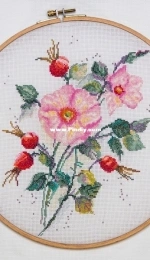 Finish May Rosehip