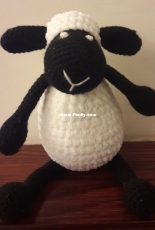 Black lovely sheep