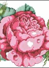 The Ultimate Rose by Barbara Baatz from American School of Needlework ASN3666 The Ultimate Book of Roses PCS