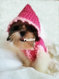 Twinkle Enyong - Raspberry Pink Dog Hoodie