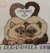 CATS - A PURFECT PAIR