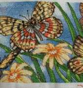 Dimensions - Butterfly Vignette