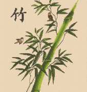 DMC APJ6 - Noble Plant - Bamboo