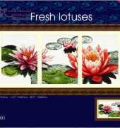 Dome 100821 Fresh Lotuses