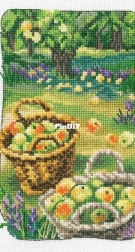 RTO C344 Grandmothers Old Garden - SAGA