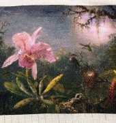 Cattlea Orchid & Hummingbirds