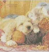 Mystic Stitch - Cat-15 -Nap Time