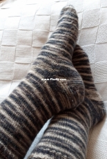 Soy Vanilla Socks by Johnathan C Glover-Free