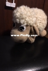 havaa sheep