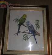 This is my finished Budgies project!