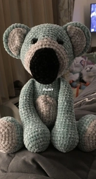 Kira the Koala