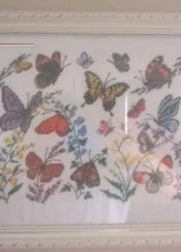 redesigned butterfly
