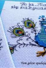 Small peacock