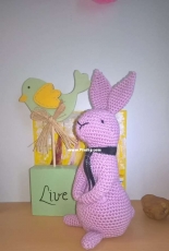 pink Rabbit ((Stuff the body)