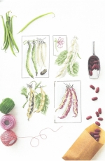 V. Enginger - Mon Jardin Potager 2018 - Mango - Les Bons Legumes de Mamie XSD