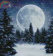 Kustom Krafts 98757 Winter Moon XSD