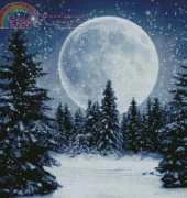 Kustom Krafts 98757 Winter Moon XSD