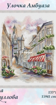 Amboise Street by Alina Valiullova