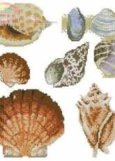Le idee di Susanna -> Shells I