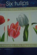 Dome 100820 - Six Tulips