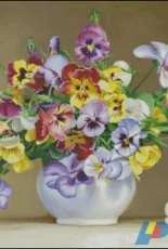 EstE 219 Pansy