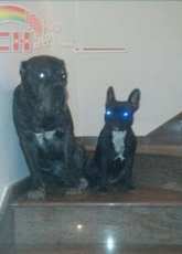 my aliens