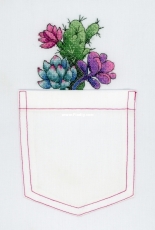 M.P. Studio B-240 Cactus and Succulents XSD