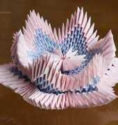 lotus flower