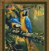 Kustom Craft KK 99443 Blue Gold Macaws