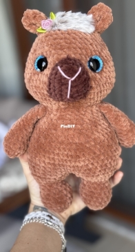 My new capybara