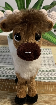 My Reindeer