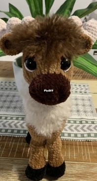 My Reindeer