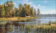 Forest lake by Cheshire cat