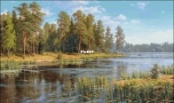 Forest lake by Cheshire cat