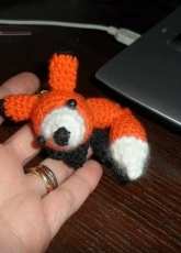 the fox