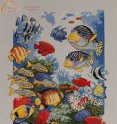Tropical Profusion - Dimensions